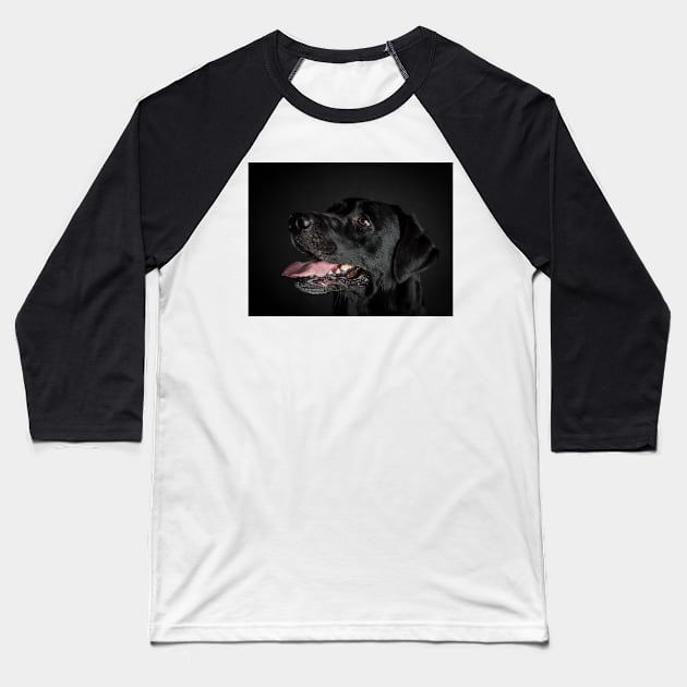 Labrador Retriever Baseball T-Shirt by ansaharju